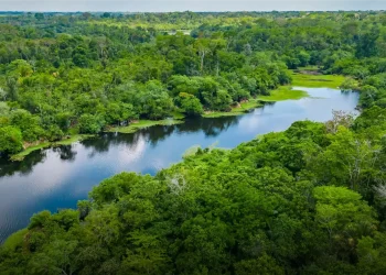 Ecuadorian Amazon River