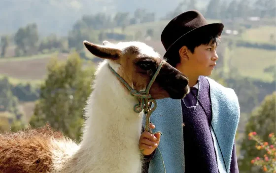 Kid-with-llama-Karanki-Magdalena