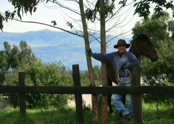Otavalo - men with horse - landscape